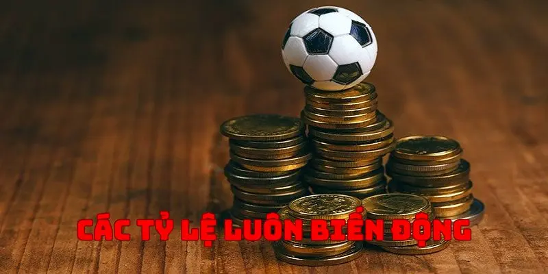 Sự lên - xuống của các loại tỷ lệ là điểm thú vị của cá cược